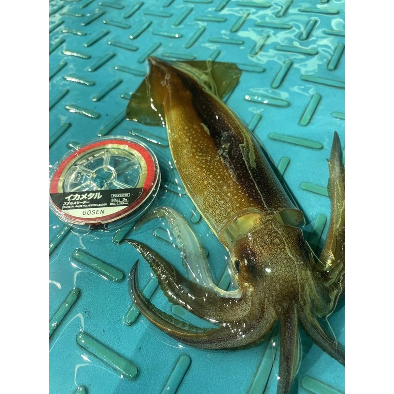 Gosen Equatal Stealth Leader 98.4 ft (30 m) No. 3