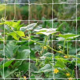 Tcamp Heavy-Duty Polyester Plant Trellis Netting 5 x 15ft (1 Pack) (5 Ft X 15 Ft)