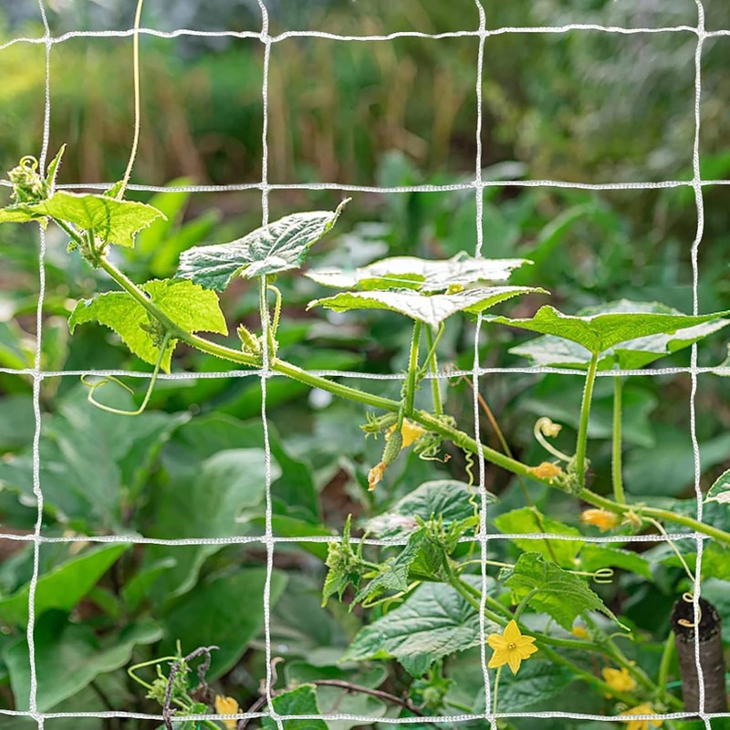 Tcamp Heavy-Duty Polyester Plant Trellis Netting 5 x 15ft (1