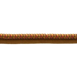 DÉCOPRO (TM) Basket Weave Design Rope Cord with Lip, Color# AR05 [24 Yards]