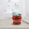 ATT Southern 077089 8" Wisteria Planter, Oxblood Red 8"