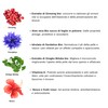 Vitamol Bio Naturell Purifying Detox Scrub Purifying Cleansing Facial Gel