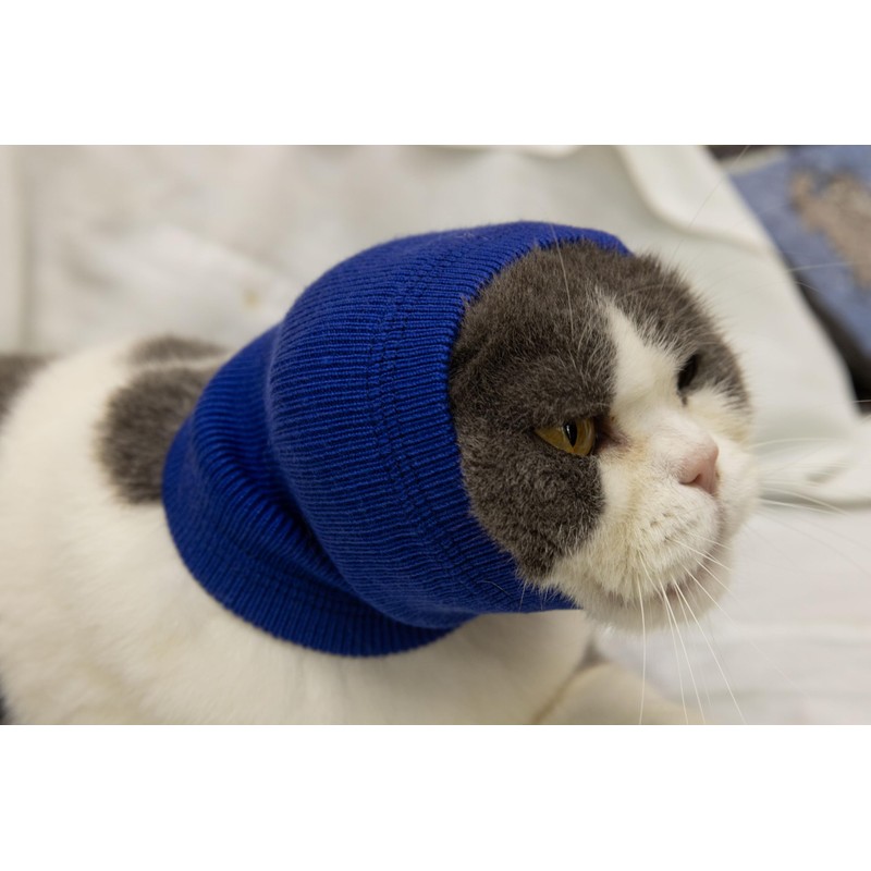 FDANDADE Cat Hematoma Ear Wrap,Cat Ear Wrap Anxiety Relief –
