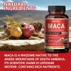 Taoters Maca 120 Capsules x 3 Bottle,Support