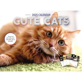 Cute Cat Calendar 2025