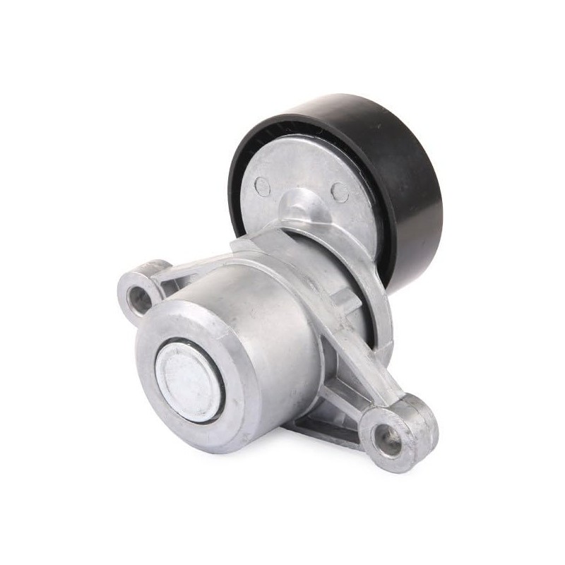 RIDEX 310T0084 V-Ribbed Tensioner Pulley for Berlingo (B9) 65 mm
