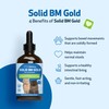 Pet Wellbeing Solid BM Gold for Cats - Supports Healthy