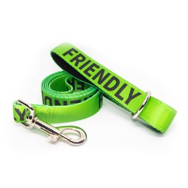 Friendly Dog Lead - Green, Durable & Padded Handle - Show your dog is safe - 2.5cm/152cm