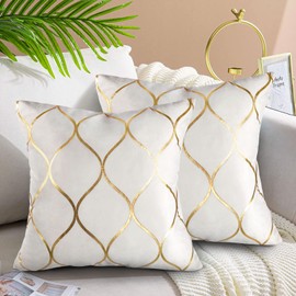 Hanrunsi Cushion Covers White 50x50 cm Decorative Elegant Velvet Sofa Cushions 2 Pack Soft Pillowcases Golden Painted Decorative Throw Pillow Cases for Sofa Couch Living Room