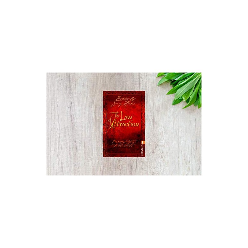 The Law of Attraction: Das kosmische Gesetz hinter THE SECRET