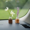 WAYUTO Self-Adhesive Glass Vase with Walnut Stand Removable Car Plant