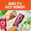 IZZE Sparkling Juice Beverage Blend, Mango, No Sugar Added, 8.4