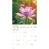 2025 Zen Wall Calendar