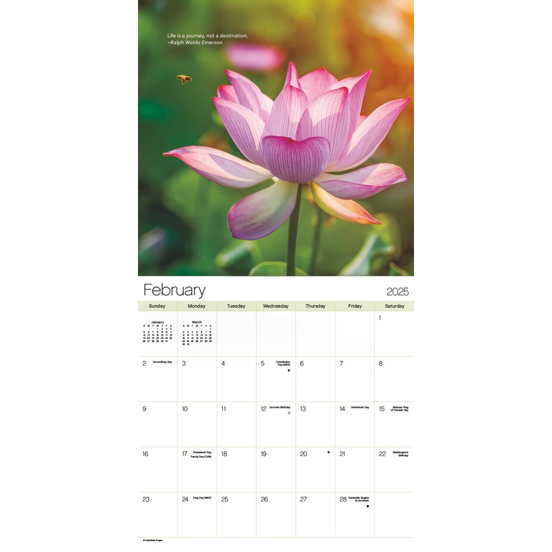 2025 Zen Wall Calendar