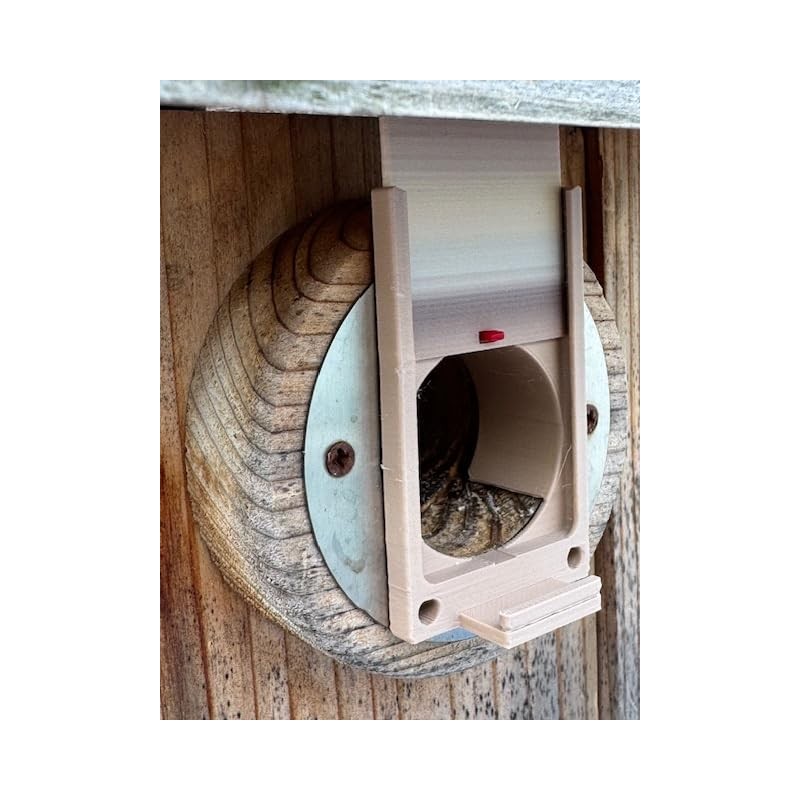 Generic Sparrow Trap with Perch, Brown