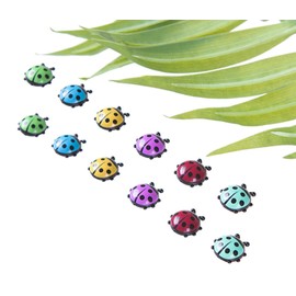 Decorative Refrigerator Magnets, Perfect Fridge Magnets for House Office Personal Use (12Pcs Ladybug)