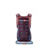 Osprey Daylite Commuter Backpack, Moody Burgundy