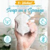 Spongeables Pedi Scrub Foot Buffer