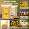 Rani Yellow Mustard Seeds Whole Spice 32oz (2lbs) 908g ~