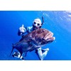 C4 Plasma Mask XL for Freediving and Diving Fishing (White)