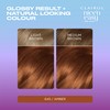Clairol Nice'n Easy Tone+Gloss Semi Permanent Hair Dye - 645/92