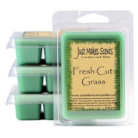 4 Pack - Fresh Cut Grass Scented Wax Melts by Just Makes Scents