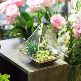 NCYP 7.87 inches Gold Pyramid Vertical Metal Glass Geometric Wall Hanging Terrarium Brass Tabletop Display Pot Succulent Air Plants Holder Planter (No Plants)