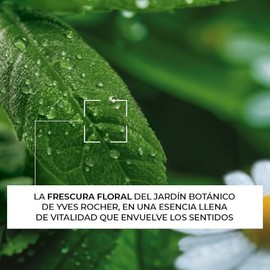 YVES ROCHER - Kit de Cremas Corporales Verbena Y Manzanilla, Para Todo Tipo de Piel, Fórmula Vegana, Textura Ligera, Incluye 2 piezas 390 ml c/u