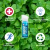 Boost Oxygen Pocket Size Revive Peppermint Aroma 3L Canister |