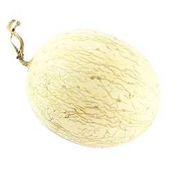 Melon Seeds - Branco Do Ribatejo - 3 g Packet ~90 Seeds - Cucumis melo - Farm & Garden Vegetable/Fruit Seeds - Non-GMO, Heirloom, Open Pollinated, Annual