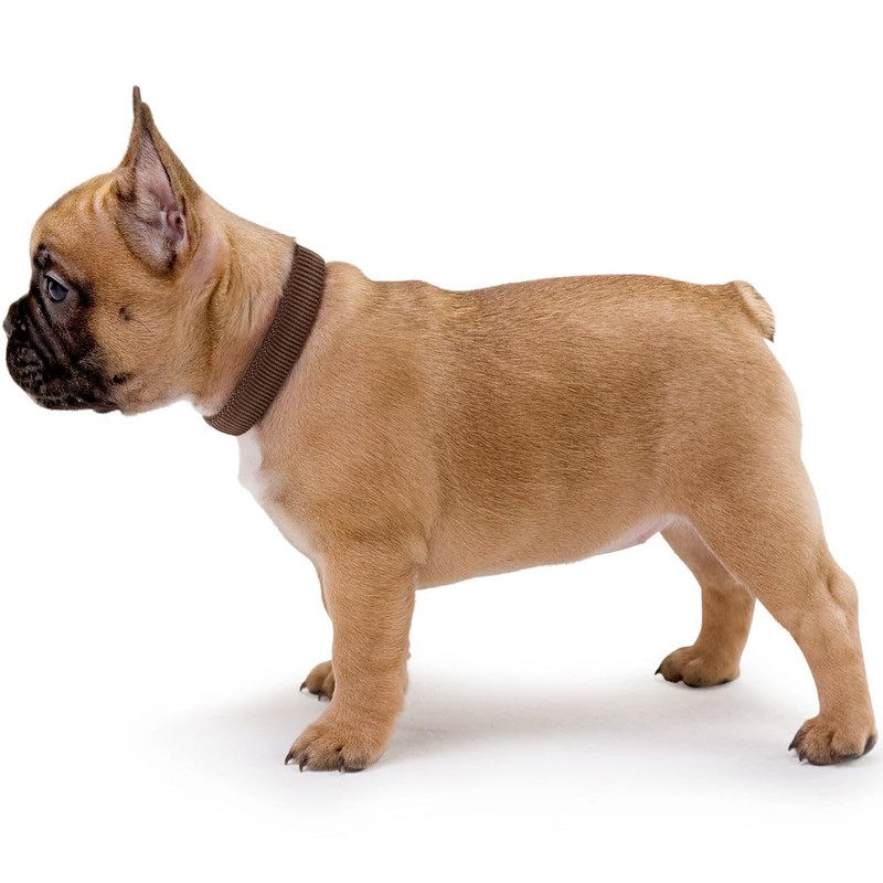 Hunter Vario Plus Nylon Dog Collar, 35/53 cm, Red