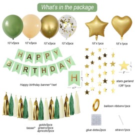 MSMANCY Sage Green Birthday Party Decorations Set, Happy Birthday Banner,Stars Garland, Tassel paper garland and Balloons for Women Girls Birthday Party Decor (Sage green)