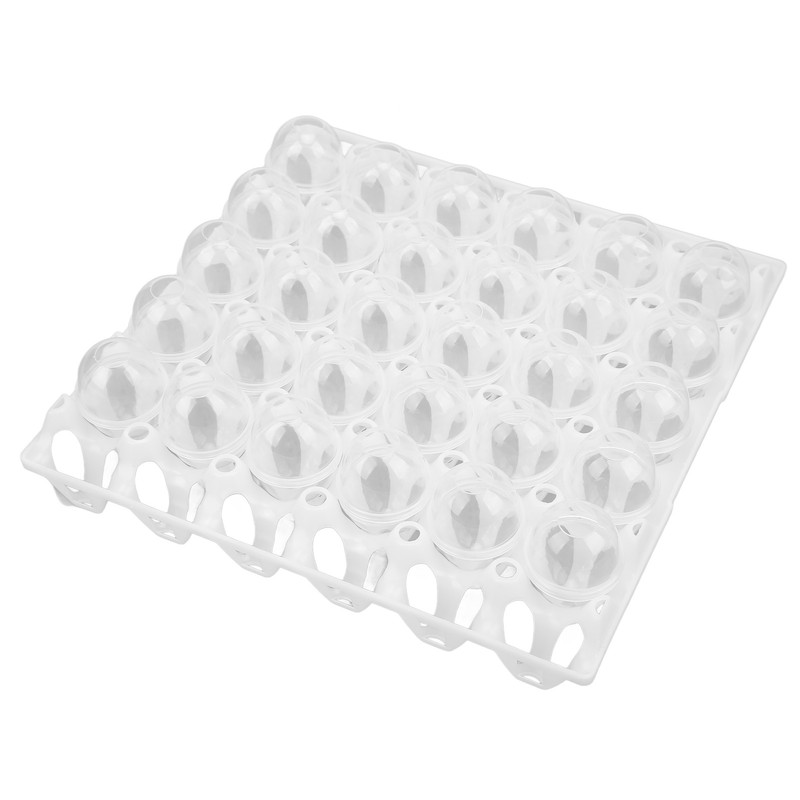 Eggshell and Egg Tray Model Safe Prevent Leakage Eggs Making