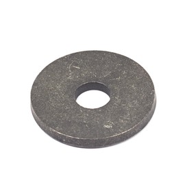 Briggs & Stratton OEM 4313 replacement washer, spring (10 x 1656916