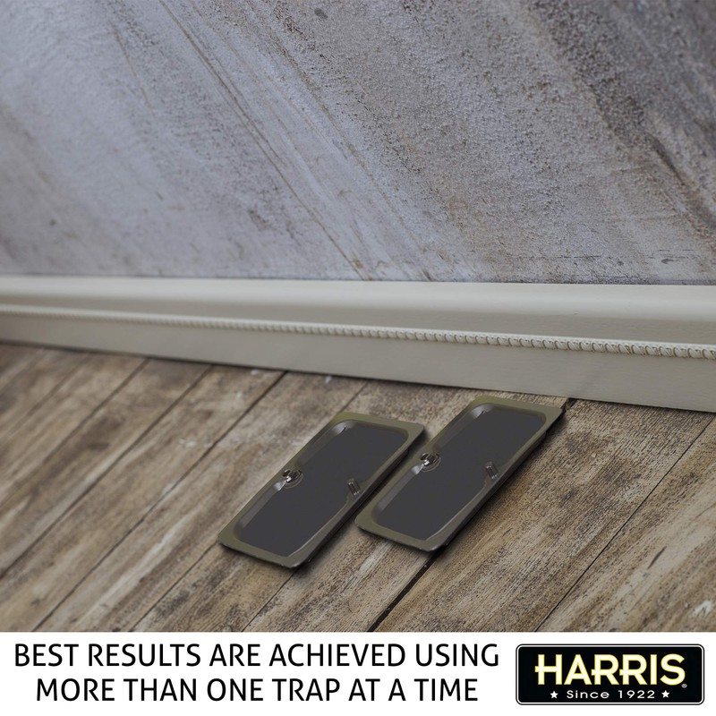 Harris Rat Glue Traps, Fully Disposable (2-Pack)