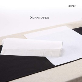 Teagas Chinese Calligraphy Brush Ink Writing Sumi Paper/Xuan Paper/Rice Paper for Chinese Calligraphy Brush Writing Sumi Set, 14 x 10 Inch