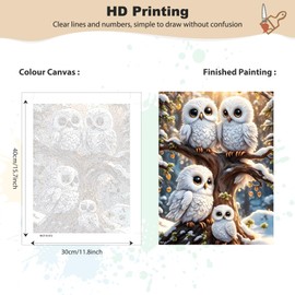 MEIYUDA Painting by Numbers Adult with Frame Animal, DIY Set Adult Cute Owls Craft Set, 3 Brushes and Acrylic Paint, DIY Hand Painted Oil Painting Kit as a Gift and Home Decoration 30 x 40 cm