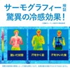 Freeze Tech SoftBank Hawk Collaboration Ice Shoot Cool Arm Cover