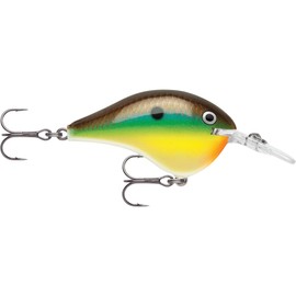 Rapala DIVES-TO BRM Bream DT6 2.0 inches (5 cm) / 0.4 oz (12 g)