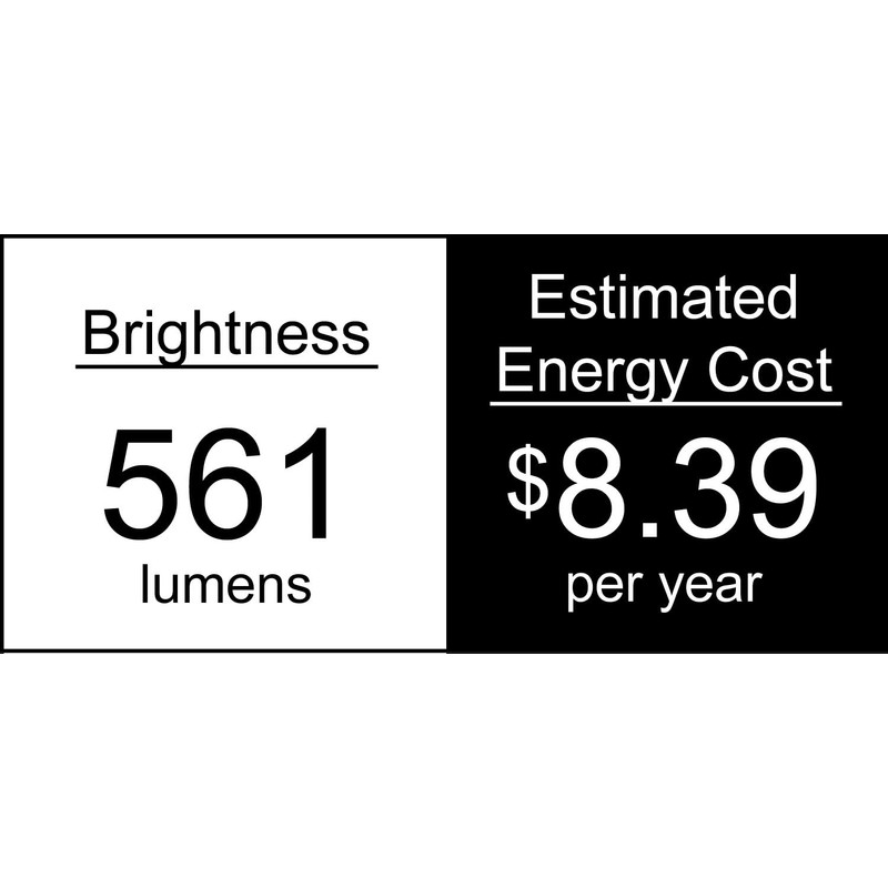 Royal Designs, Inc. LB-1506-6 Vintage Dimmable Edison Light Bulbs with