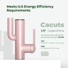 Bathroom Sink Faucet, Cactus-Shaped, Single Hole with Water-Powered LED Temperature