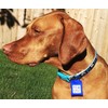 Quiet Spot Pet Tag Silencer (Black)