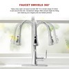 Lavatrum Kitchen Faucet with Pull Down Sprayer, 17 inch Polished