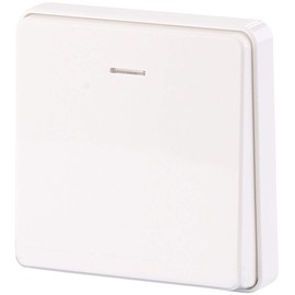 CASAcontrol Accessories for Wireless Button with Receiver: Kinetic Radio Button Large for KFS-150 Receiver Series IP67 (Radio Button with Remote Control, Flush-Mounted, Built-in Switching Module)