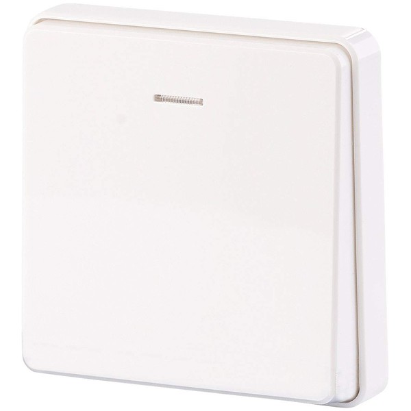 CASAcontrol Accessories for Wireless Button with Receiver: Kinetic Radio Button