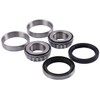 SUKATC Spindle Rebuild Kit Compatible with Scag 481024 481025 461663