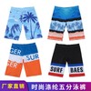 a790 Men's Plus Size Loose Fit Beach Swim Pants for Hot Spring & Vacation Free Size / Sky Blue Large Coconut Tree 10ea