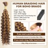 Human Braiding Hair Deep Wave Human Hair Extensions No Weft