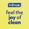 Softsoap Softsoap Antibacterial Liquid Hand Soap, Fresh Citrus Scent Hand