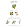 Panier Des Sens Vegetable Soap Provence